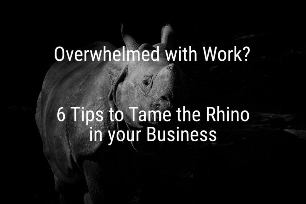Overwhelmed with work? 6 Tips to Tame the Rhino in your business